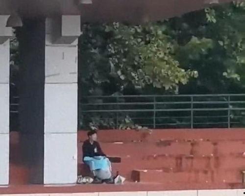 学校吃瓜事件网红视频,网红视频揭秘校园热点事件