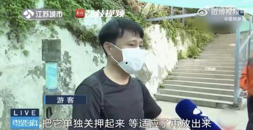 网红霸凌吃瓜男是谁啊,吃瓜群众热议的“霸凌男”究竟是谁？