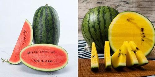 5.1吃瓜网官网颜色