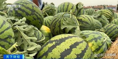 菏泽曹县网红吃瓜,揭秘网络红人的幕后生活