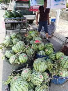 凉山吃瓜网红事件,揭秘网络舆论背后的真相与反思