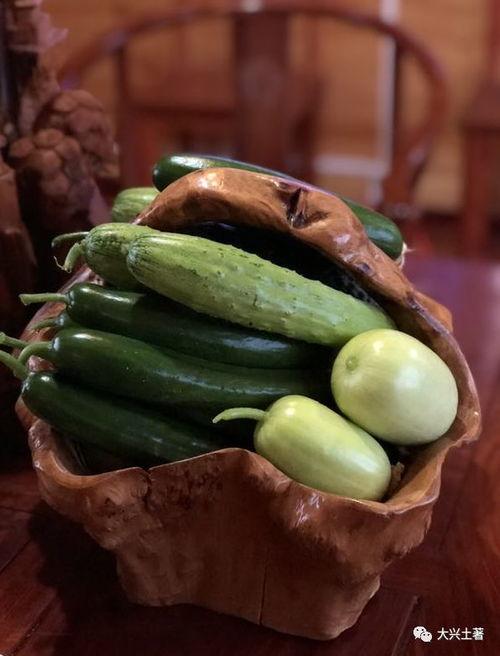 网红张千慧吃瓜,网红视角下的娱乐圈风云