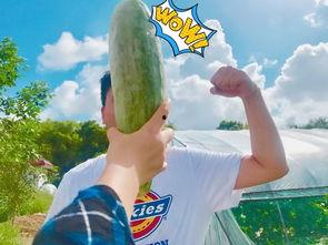 网红最火吃瓜是谁呀,揭秘最火吃瓜事件背后的真相