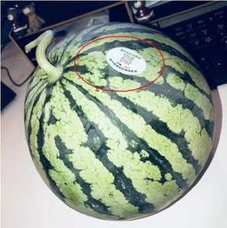 网红卞某吃瓜,揭秘网络红人的真实一面