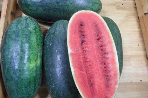 吃瓜黑爆网,网络舆论场中的风云变幻