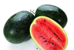 吃瓜网官网谭竹,谭竹带你领略网络娱乐新风向