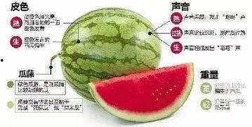 威海网红吃瓜群微信