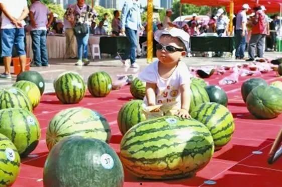 藏族网红吃瓜视频网站,揭秘藏族网红吃瓜视频网站的魅力