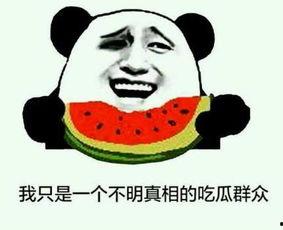 杭州网红打架吃瓜是谁啊,揭秘当事人身份及吃瓜群众热议
