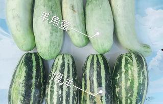 dy热门吃瓜网红